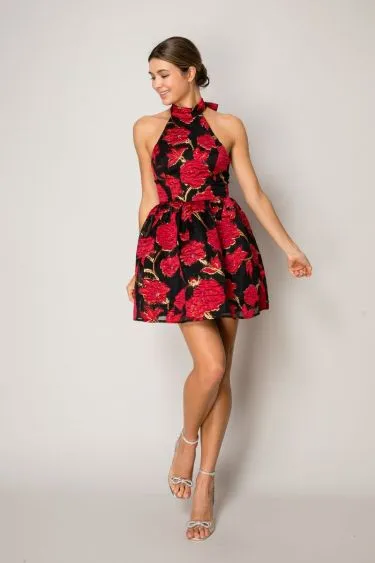 GMD404065-BLACK/RED/GOLD