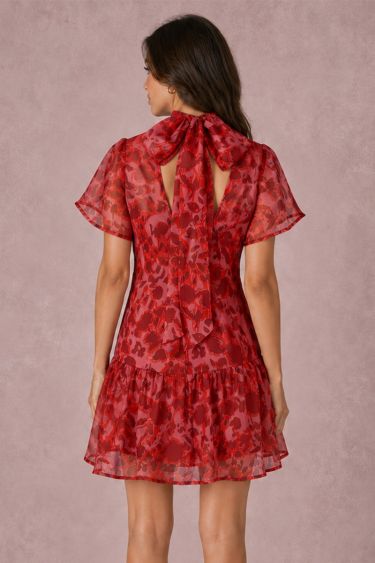 HSD604038-RED