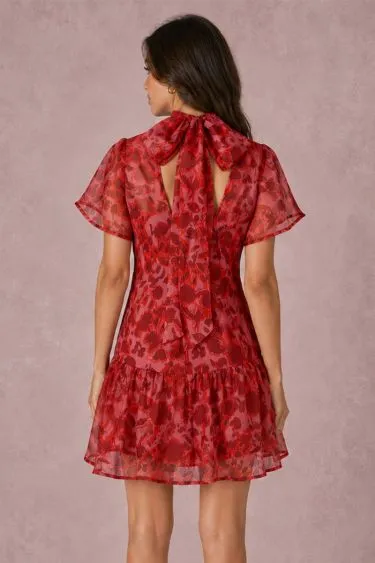 HSD604038-RED