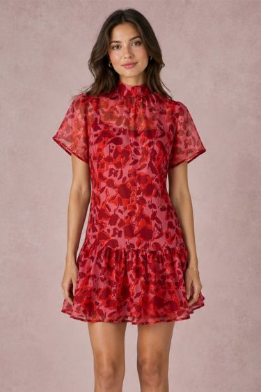 HSD604038-RED